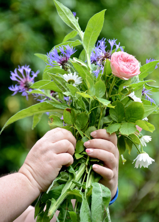 fleurs